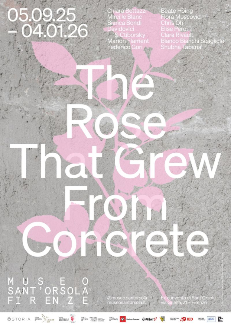 https://www.mireilleblanc.com/files/gimgs/th-6_The-Rose-that-Grew-From-Concrete-exhibition-Museo-Sant-Orsola_v2.jpg